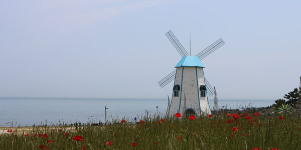 windmill and flowers